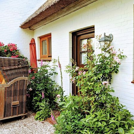 Ferienhaus Ebbe Und Flut, Terrassen-Whg Nieblum Extérieur photo